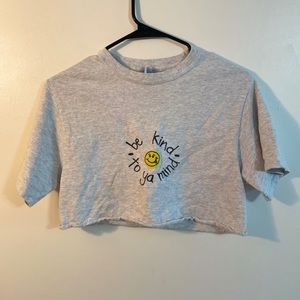 gray “be kind to ya mind” cropped tee